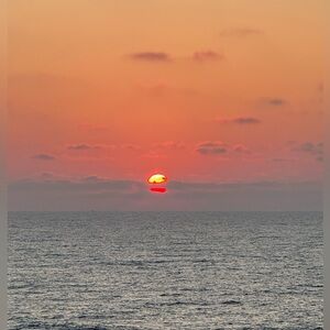 Meet your Posher, Angelina